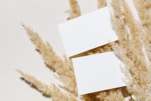 Mockup with blank paper business card and dried pampas grass on beige table with shadow and sunlight