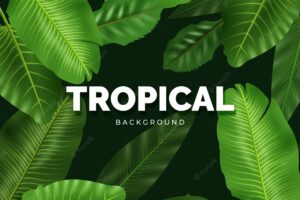 Modern tropical background with realistic design