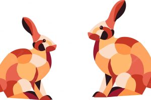 Rabbit illustration