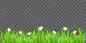 Real green grass with flower and butterfly ladybug