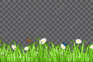 Real green grass with flower and butterfly ladybug
