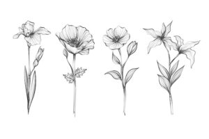 Realistic hand drawn vintage botany flower collection