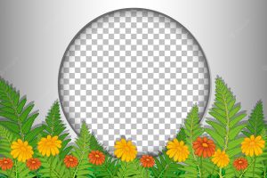 Round frame transparent with flower and leaves template