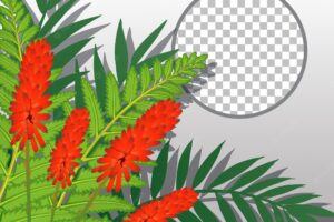 Round frame transparent with red flowers and leaves template