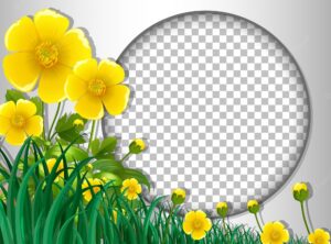 Round frame transparent with yellow flower and leaves template
