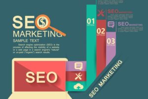 Seo infographic with charts