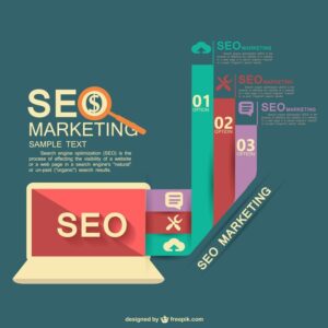 Seo infographic with charts
