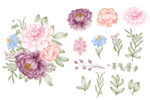 Set of flower pink purple and leaf isolated clip-art