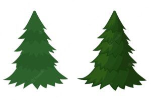 Set of spruce. christmas tree without decoration. vector illustration.