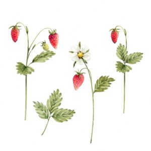 Set of wild strawberries with white flowers, watercolor illustration.