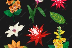 Tropical flowers and leaves set. exotic floral collection. botanical design
