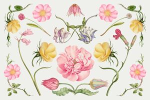 Vintage blooming flower illustration set