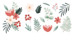 Watercolor christmas flower and leaves collection