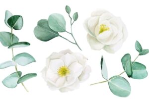 Watercolor drawing rosehip flower set of eucalyptus leaves and white peony flowers