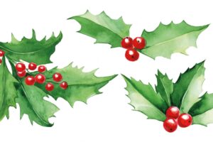 Watercolor set of christmas holly leaves