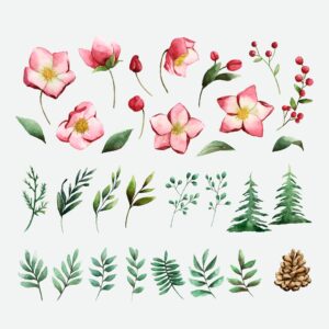 Watercolor set of winter flowers and leaves vector