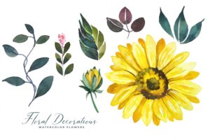 Watercolor sunflower decoration leaves collection