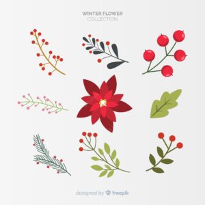 Winter flowers collection
