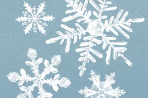 Winter snowflake illustration  on blue background set