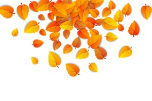 Autumn falling leaves background autumnal round yellow leaf fall down foliage and golden leaf vector