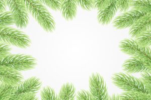 Background with green coniferous branches of a christmas tree and pine. border from green christmas tree branches. vector illustration
