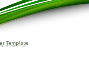 Beautiful green wave style design modern banner template vector