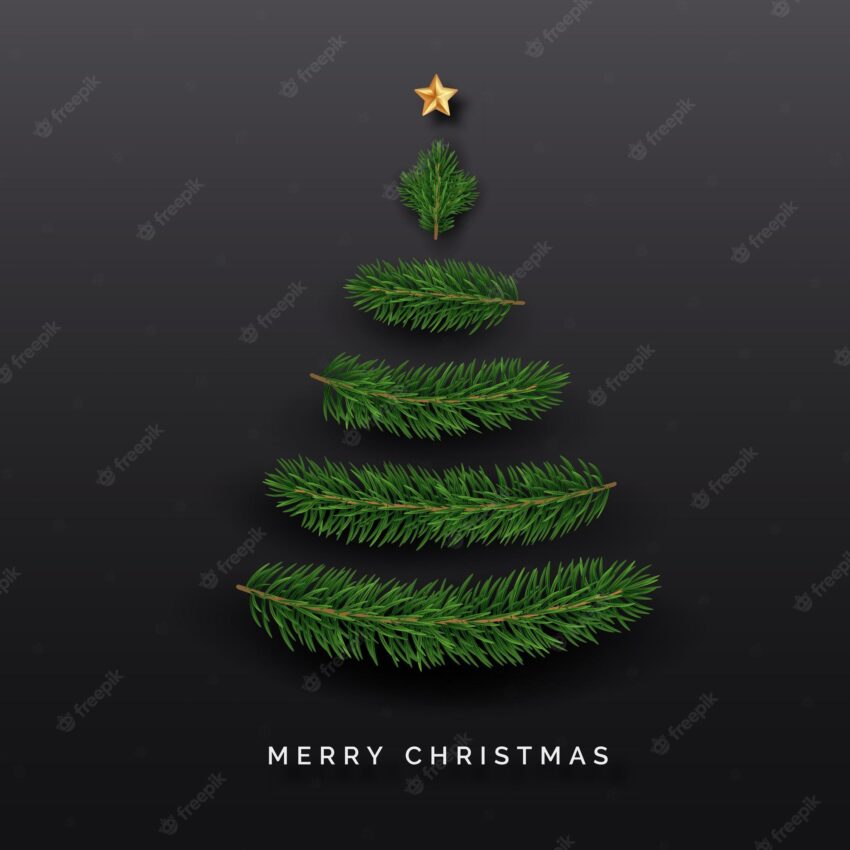 Christmas tree made from spruce branches with a star minimalistic new year illustration