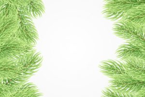 Green fir branches. christmas background. the frame of the lush fir branches to celebrate xmas