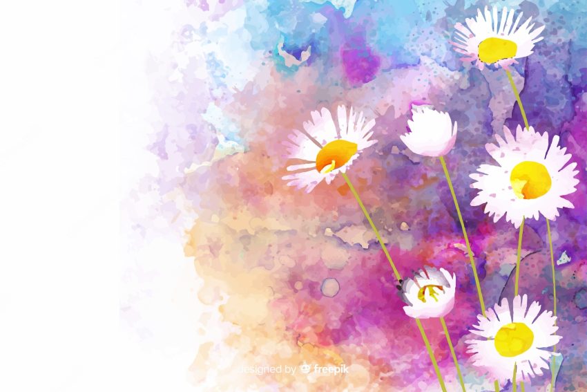 Watercolor natural background with daisies