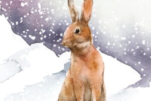 Wild hare in a winter wonderland