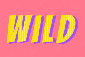 3d wild funky lettering vector