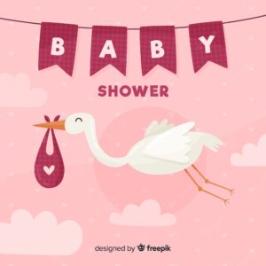 Baby shower concept for girl