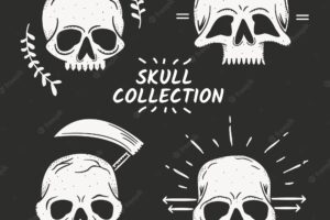 Collection of hand drawn skulls