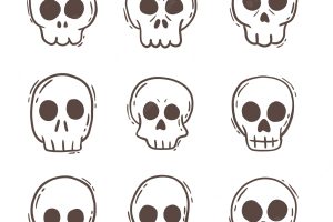 Collection of hand drawn skulls