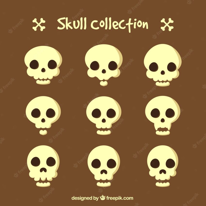 Collection of skull
