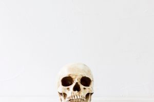 Creepy skull for halloween party