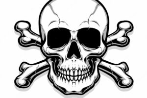 Crossing bones skull vector logo