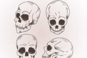 Hand drawn skull background