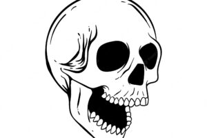 Hand drawn skull doodle illustration for tattoo stickers etc premium vector