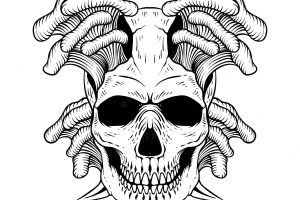 Hand drawn skull with mushroom engraving style