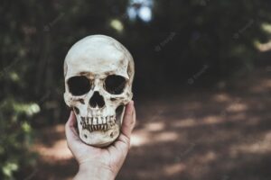 Hand holding skull in forest