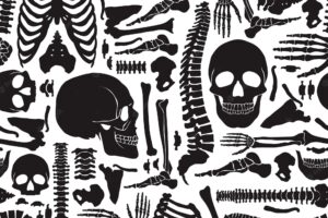 Human bones skeleton pattern