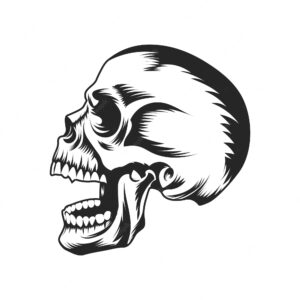 Human skulls vector design with teeth