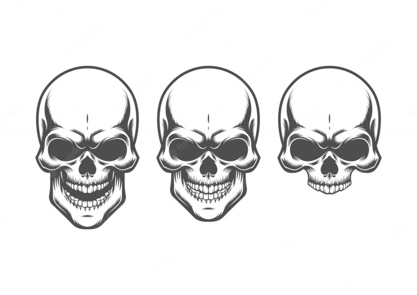 Illustration of skull. isolated on white background.