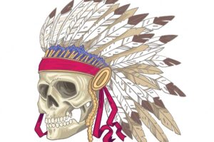 Indian skull with decorative feathers