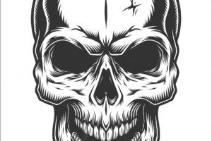 Monochrome illustration of skull