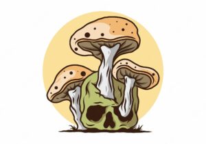 Mushroom growing on human skull illustration