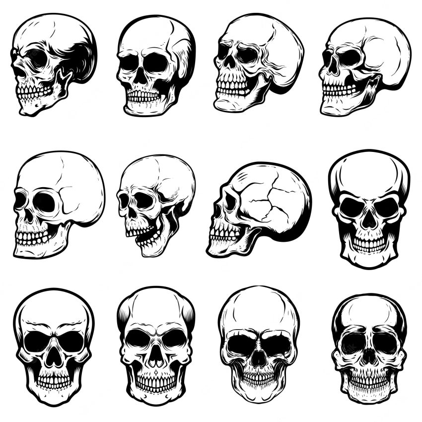 Set of human skull illustrations on white background.  element for label, emblem, sign,logo, poster.  image