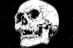 Skull on black background