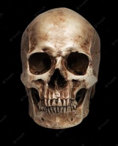 Skull-close mouth. isolated on black background, with shadow